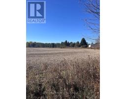 211 Queen Street W, Springwater, ON L0L1P0 Photo 15