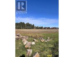 211 Queen Street W, Springwater, ON L0L1P0 Photo 19