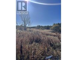 211 Queen Street W, Springwater, ON L0L1P0 Photo 21