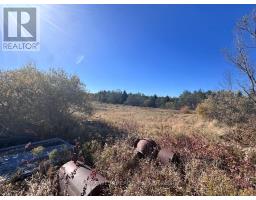 211 Queen Street W, Springwater, ON L0L1P0 Photo 9