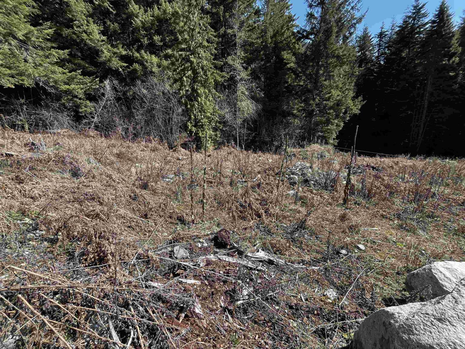 LMV6 OLD HOPE PRINCETON HIGHWAY, Sunshine Valley - Photo 3 of 33, Sunshine Valley, British Columbia