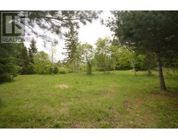 6340 Murphy Road, Greater Madawaska, ON K7V3Z9 Photo 6