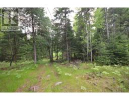 6340 Murphy Road, Greater Madawaska, ON K7V3Z9 Photo 14