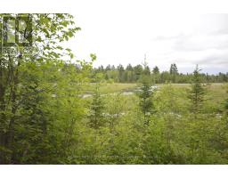 6340 Murphy Road, Greater Madawaska, ON K7V3Z9 Photo 15