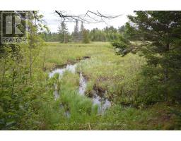 6340 Murphy Road, Greater Madawaska, ON K7V3Z9 Photo 11