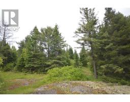 6340 Murphy Road, Greater Madawaska, ON K7V3Z9 Photo 8