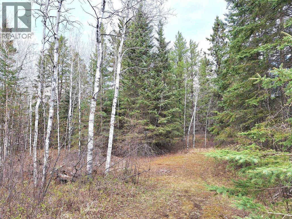 63146 Hwy 867, Rural Lac La Biche County