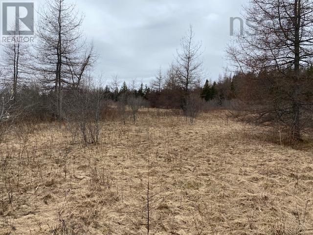 Property 5 of 8 of Barren Road