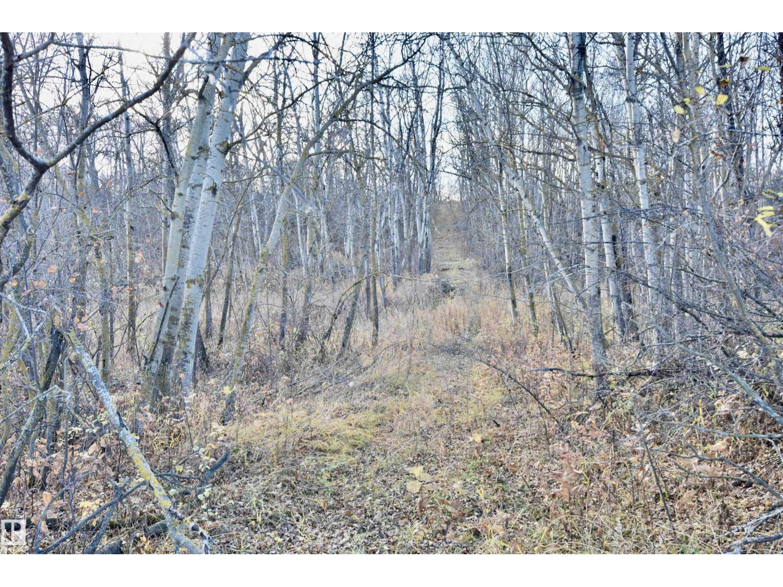 TWP RD 574 RR 93 - Photo 3 of 7, Rural St. Paul County, Alberta