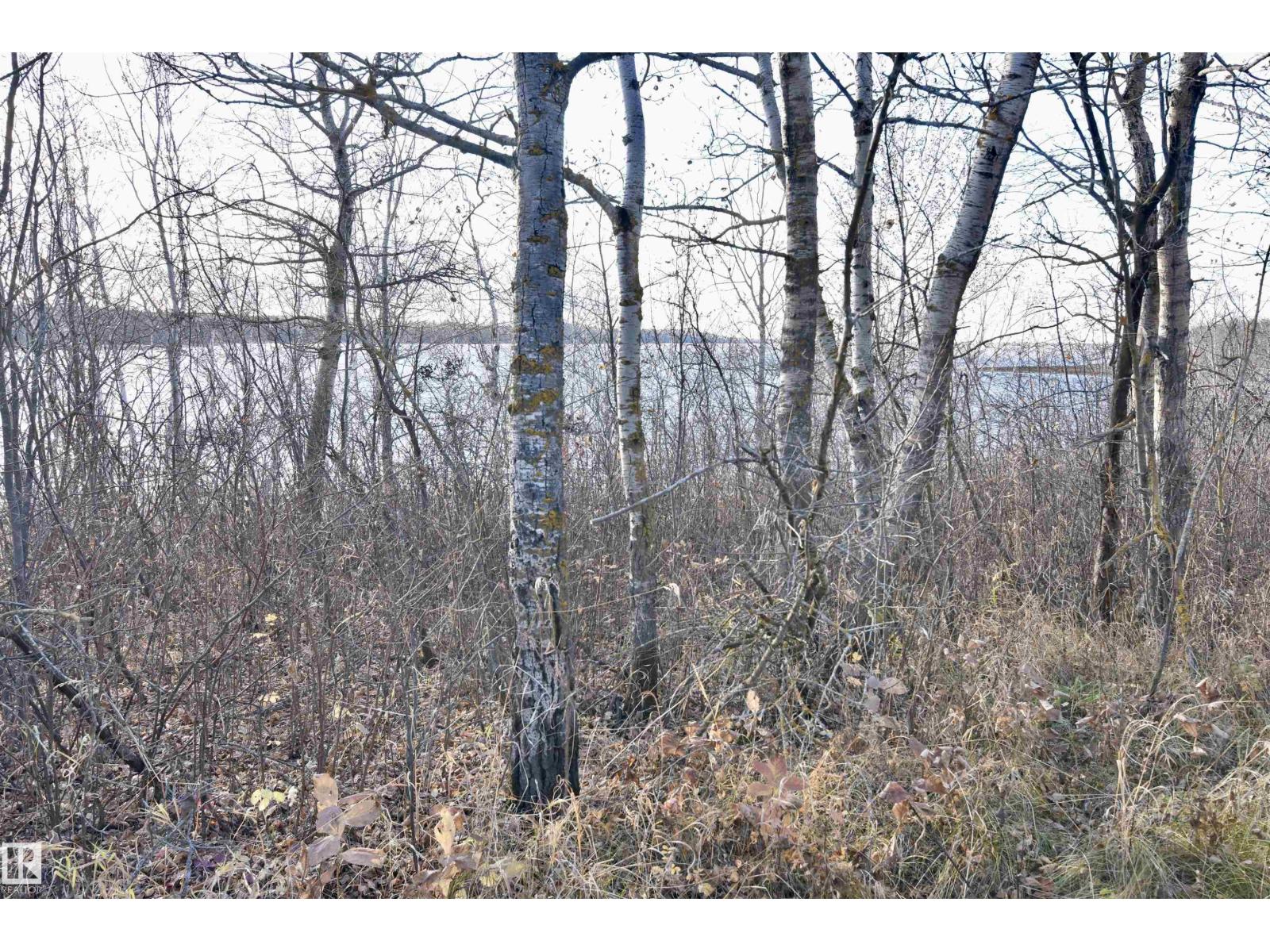 TWP RD 574 RR 93 - Photo 4 of 7, Rural St. Paul County, Alberta