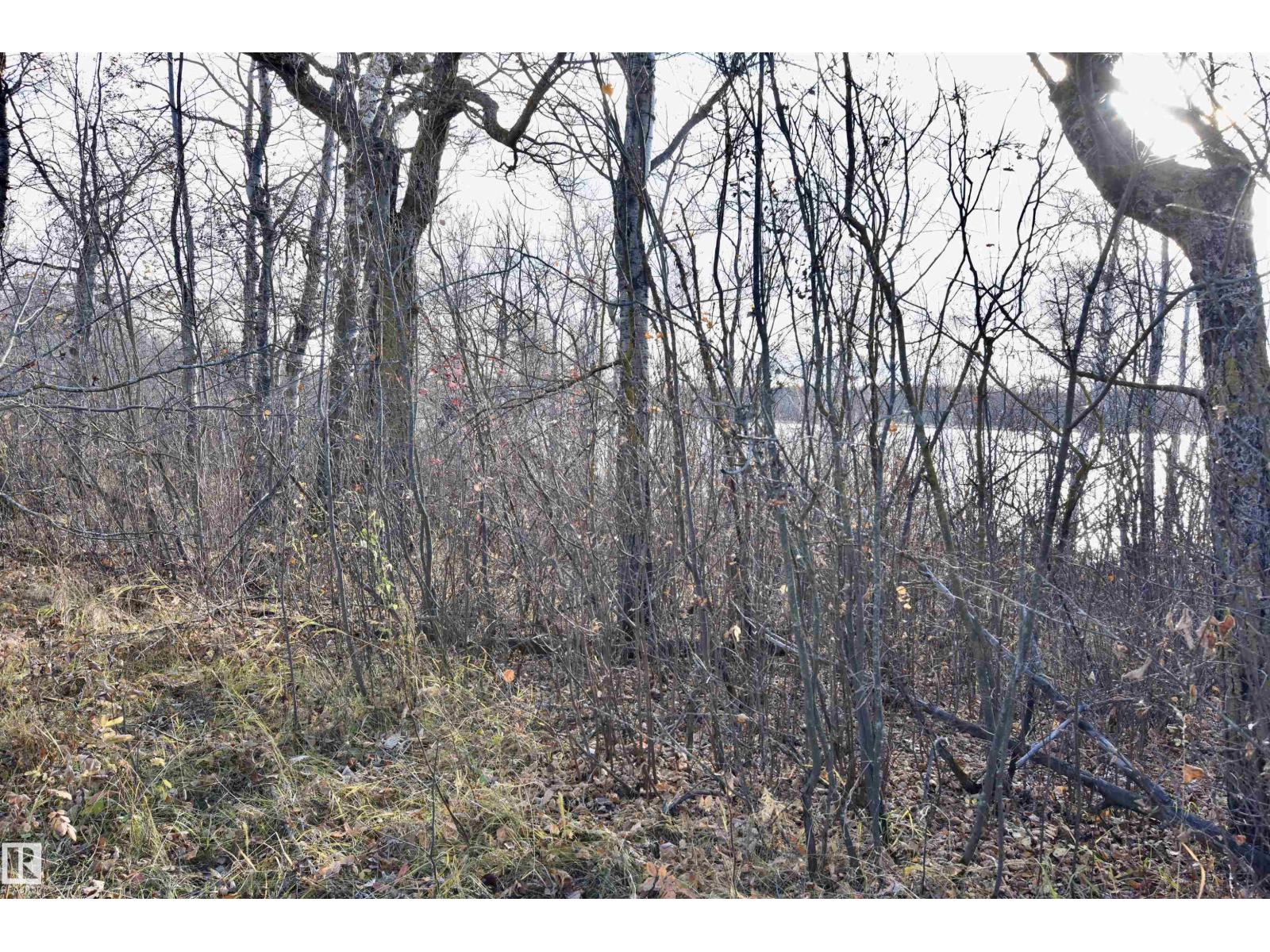 TWP RD 574 RR 93 - Photo 5 of 7, Rural St. Paul County, Alberta