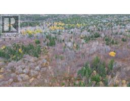 173 Southwest Margaree Road, Southwest Margaree, NS B0E2A0 Photo 12