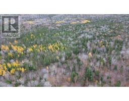 Es/sw Margaree Road, Southwest Margaree, NS B0E2A0 Photo 20