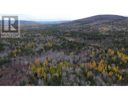 Es/sw Margaree Road, Southwest Margaree, NS B0E2A0 Photo 13