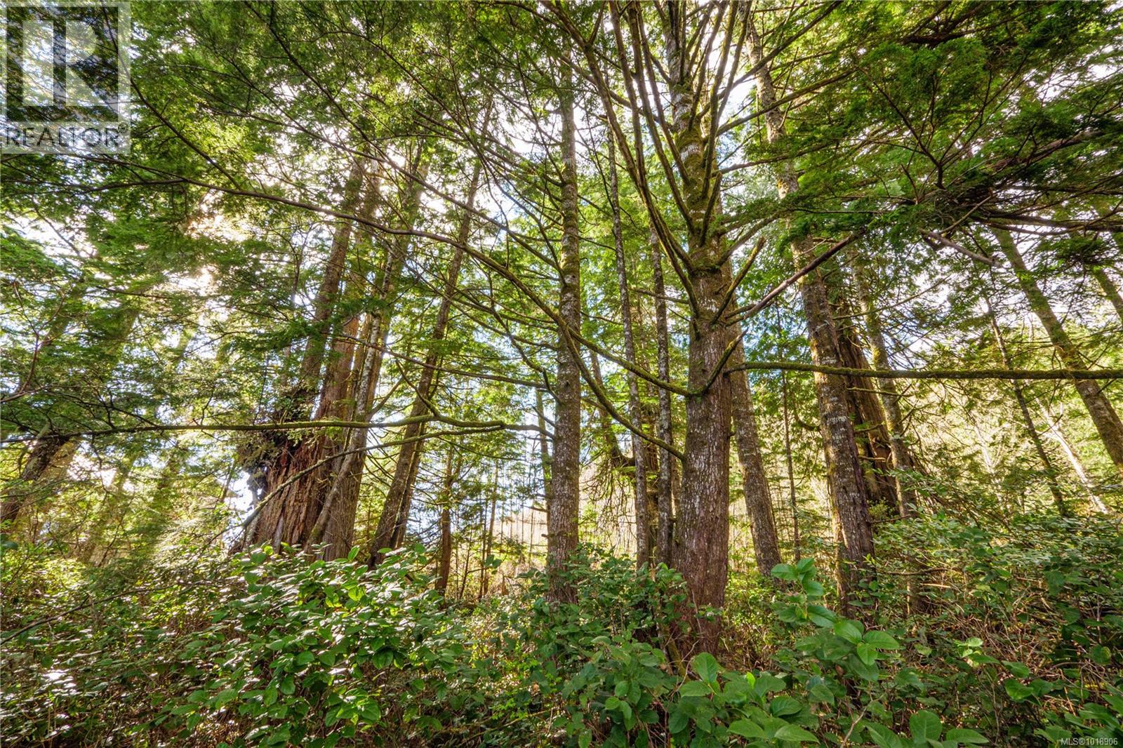 1198 Front St, Ucluelet