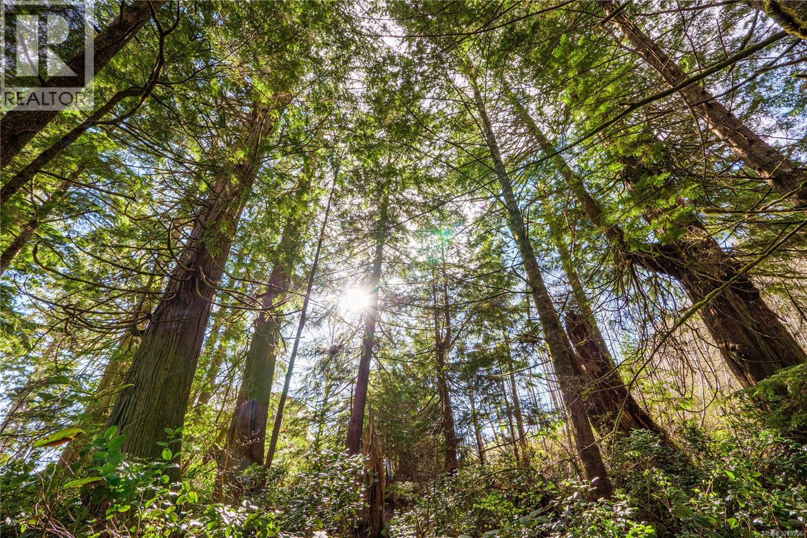 1198 Front St, Ucluelet