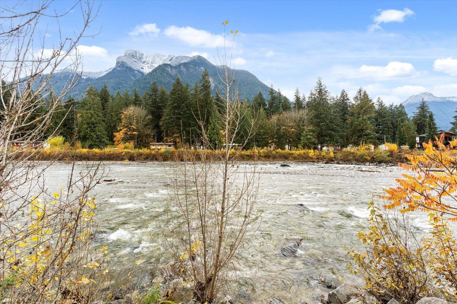 21331 MALLARD DRIVE, Hope, Hope