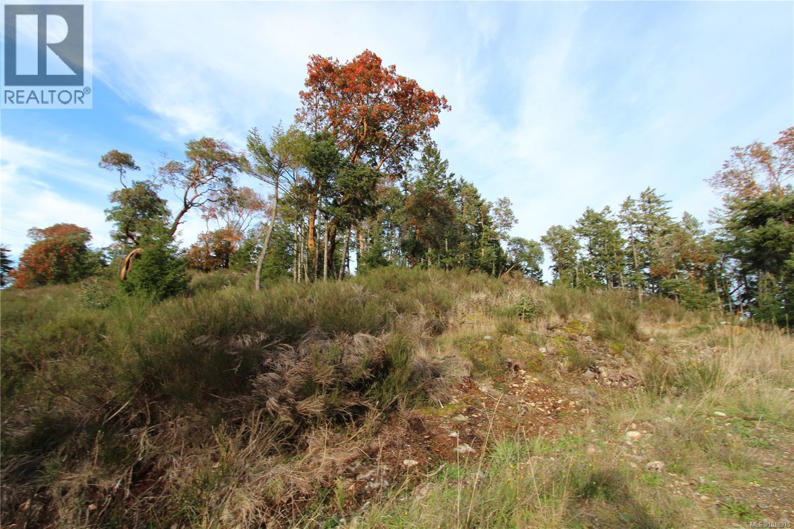 LOT 7 EAGLE VISTA RD - 11