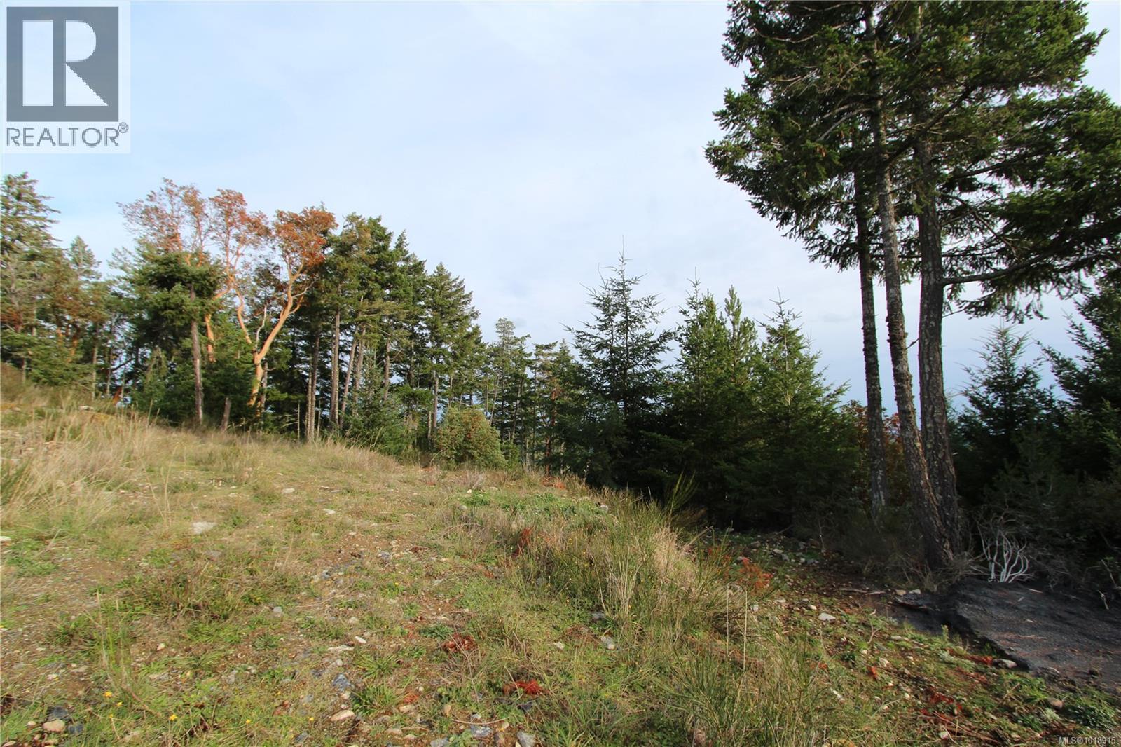 LOT 7 EAGLE VISTA RD - 13