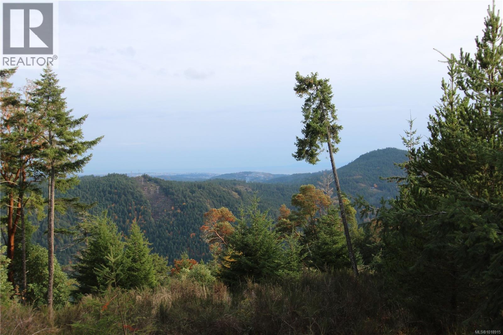 LOT 7 EAGLE VISTA RD - 15