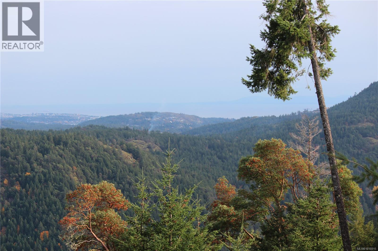 LOT 7 EAGLE VISTA RD - 21