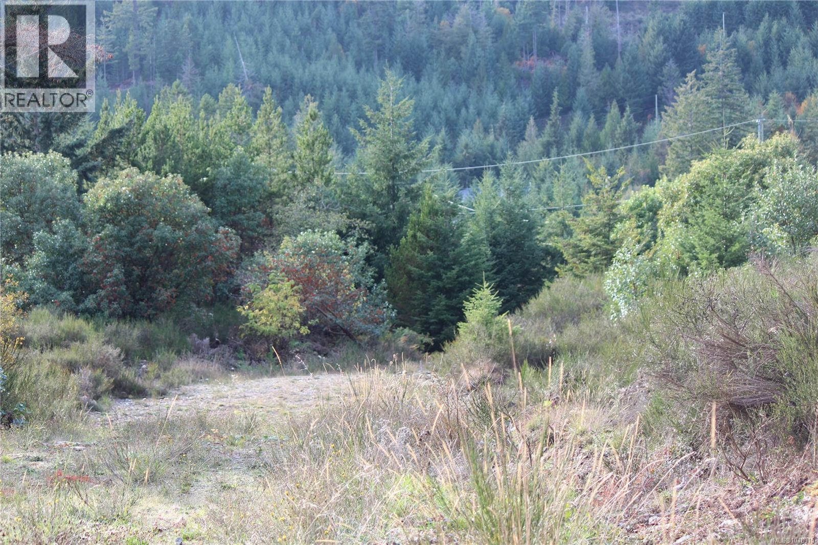 LOT 7 EAGLE VISTA RD - 22