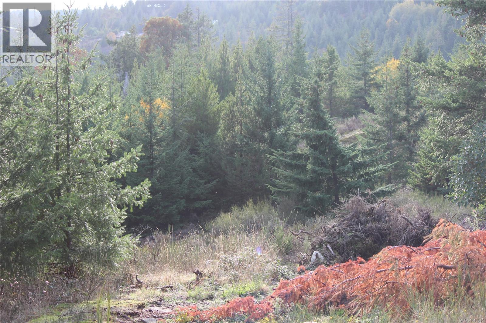 LOT 7 EAGLE VISTA RD - 23