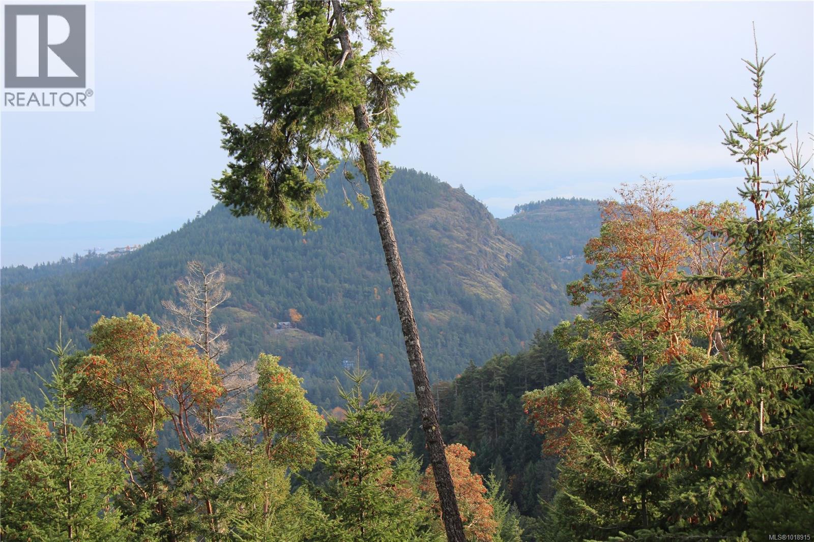 LOT 7 EAGLE VISTA RD - 26