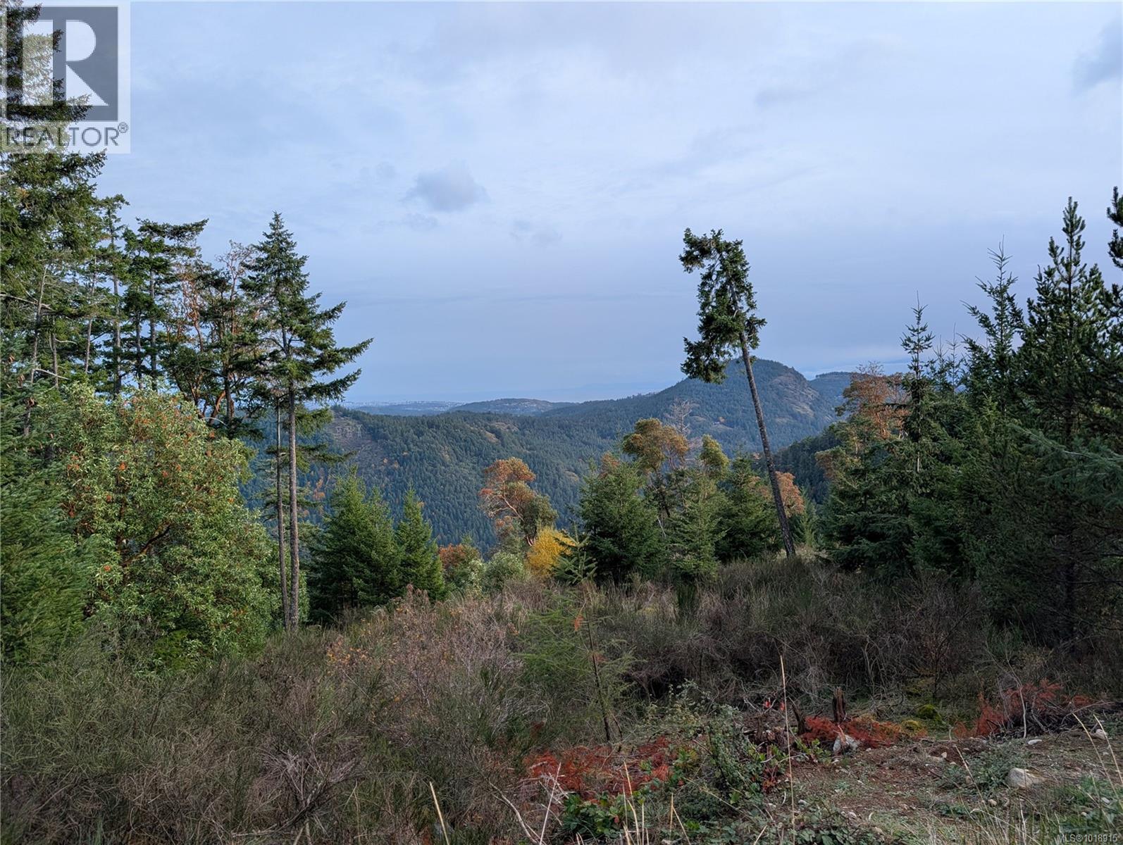 LOT 7 EAGLE VISTA RD - 29