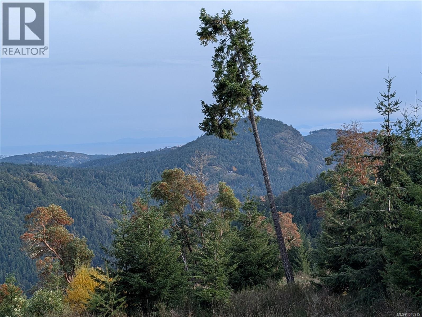 LOT 7 EAGLE VISTA RD - 34