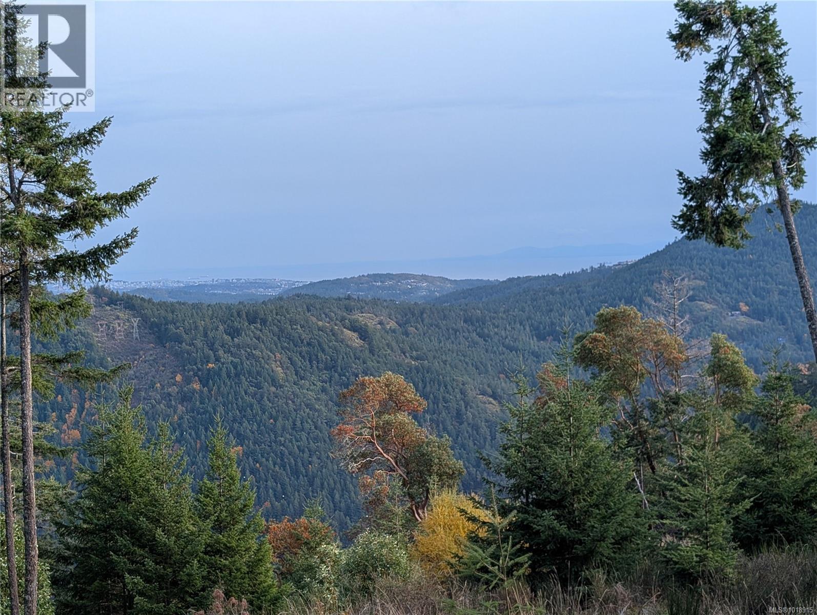 LOT 7 EAGLE VISTA RD - 35