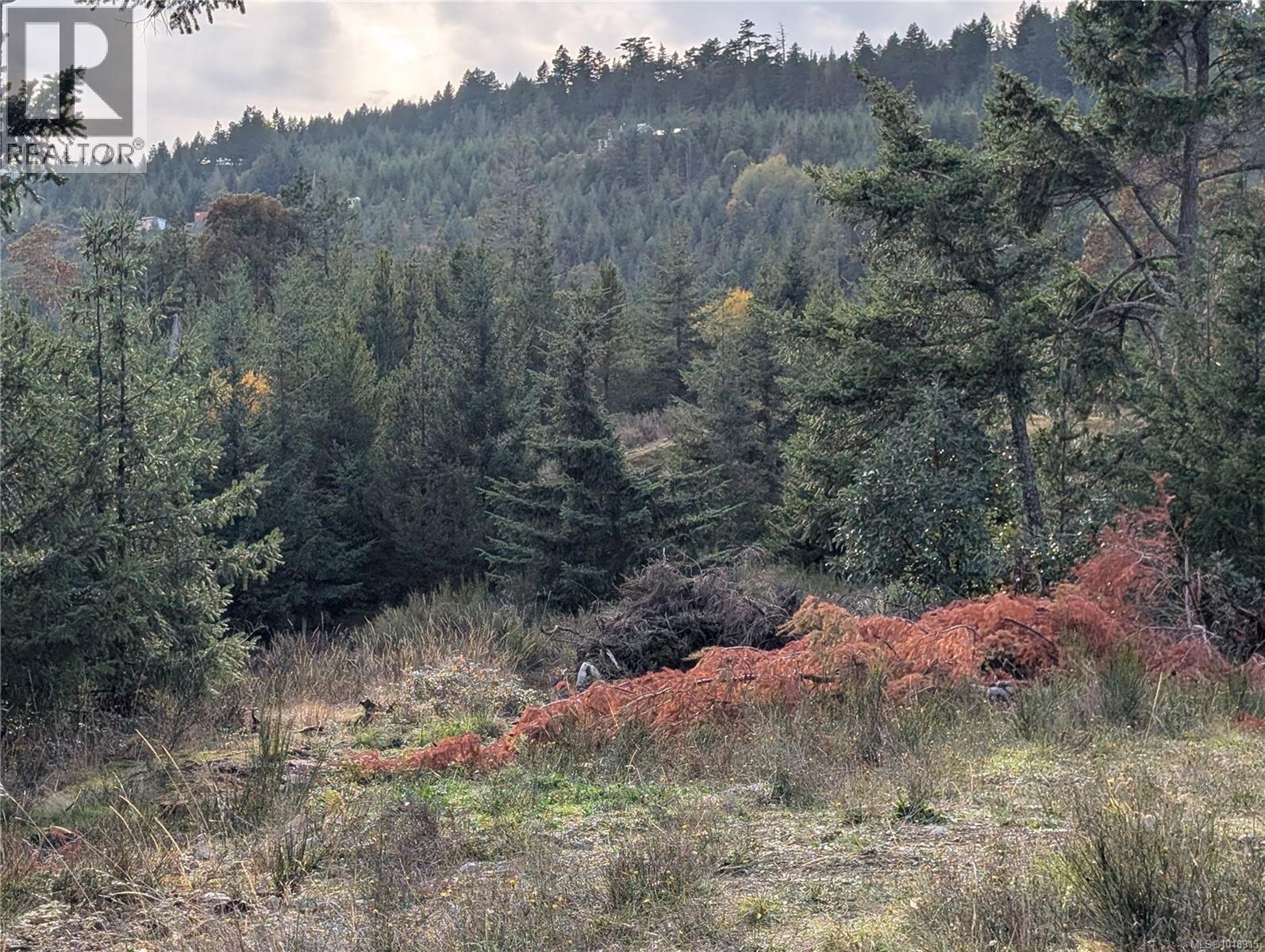 LOT 7 EAGLE VISTA RD - 37