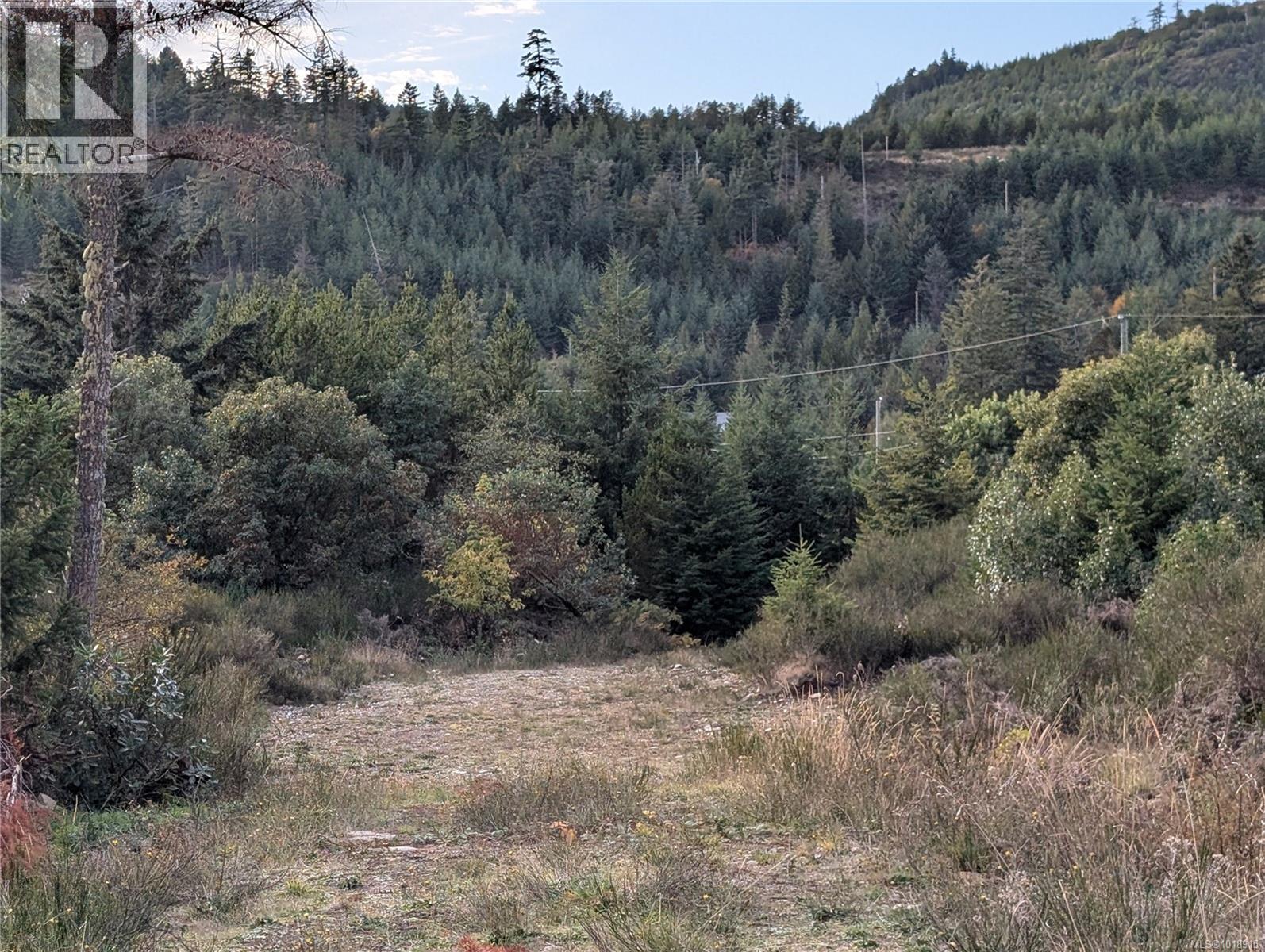 LOT 7 EAGLE VISTA RD - 38