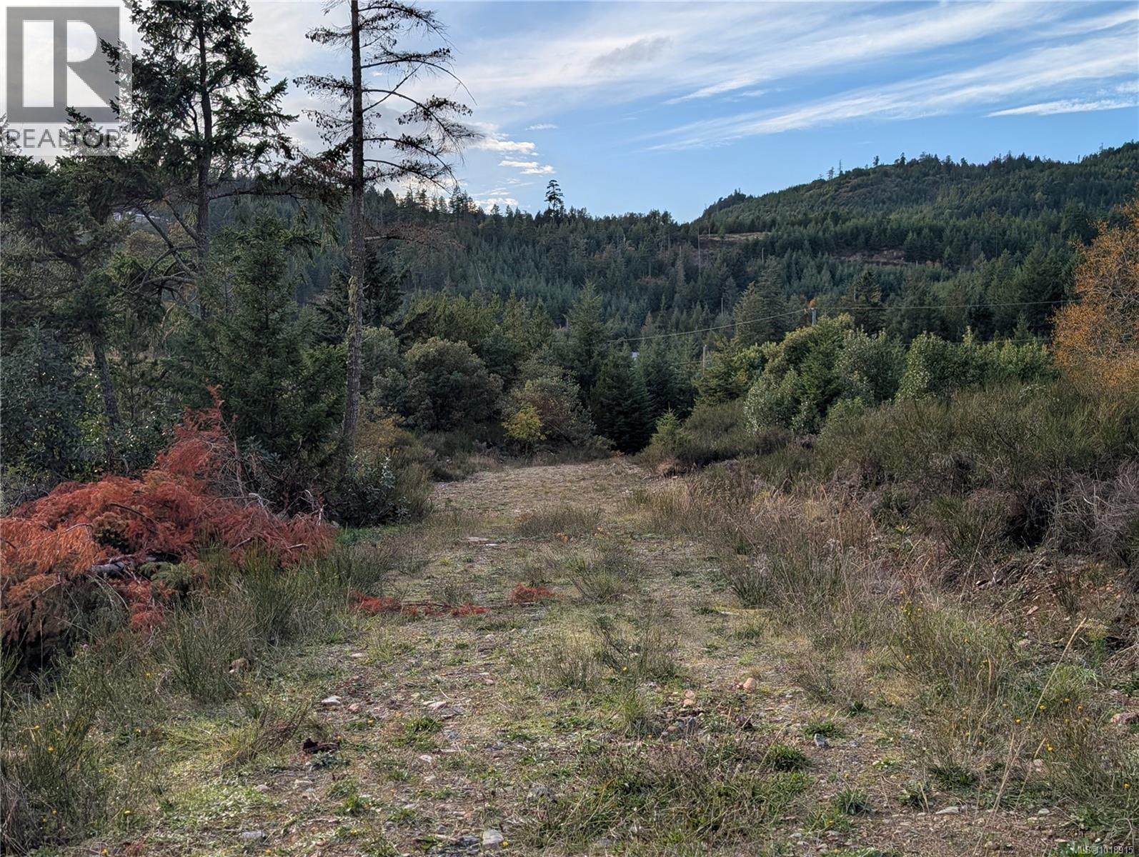 LOT 7 EAGLE VISTA RD - 39