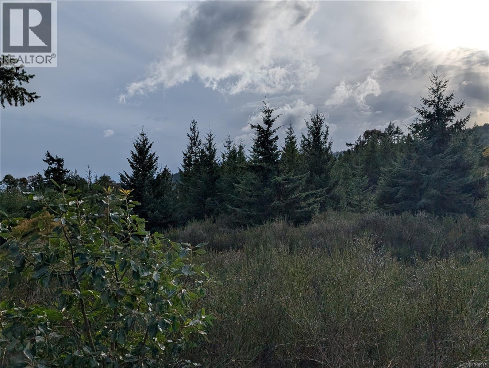 LOT 7 EAGLE VISTA RD - 41