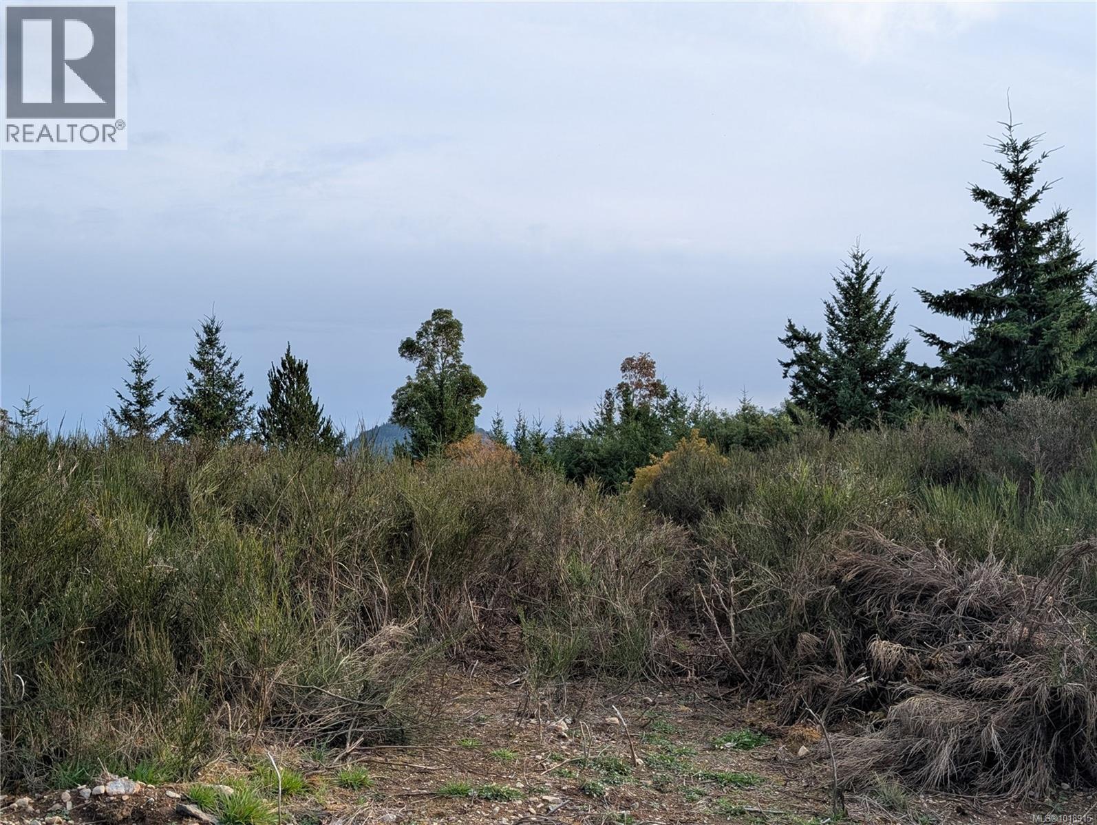 LOT 7 EAGLE VISTA RD - 42