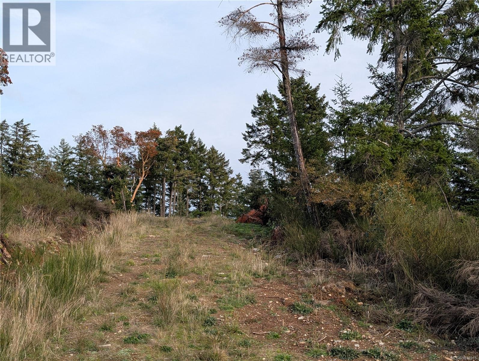 LOT 7 EAGLE VISTA RD - 43