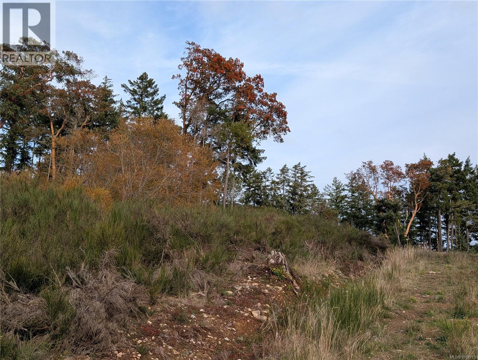 LOT 7 EAGLE VISTA RD - 44