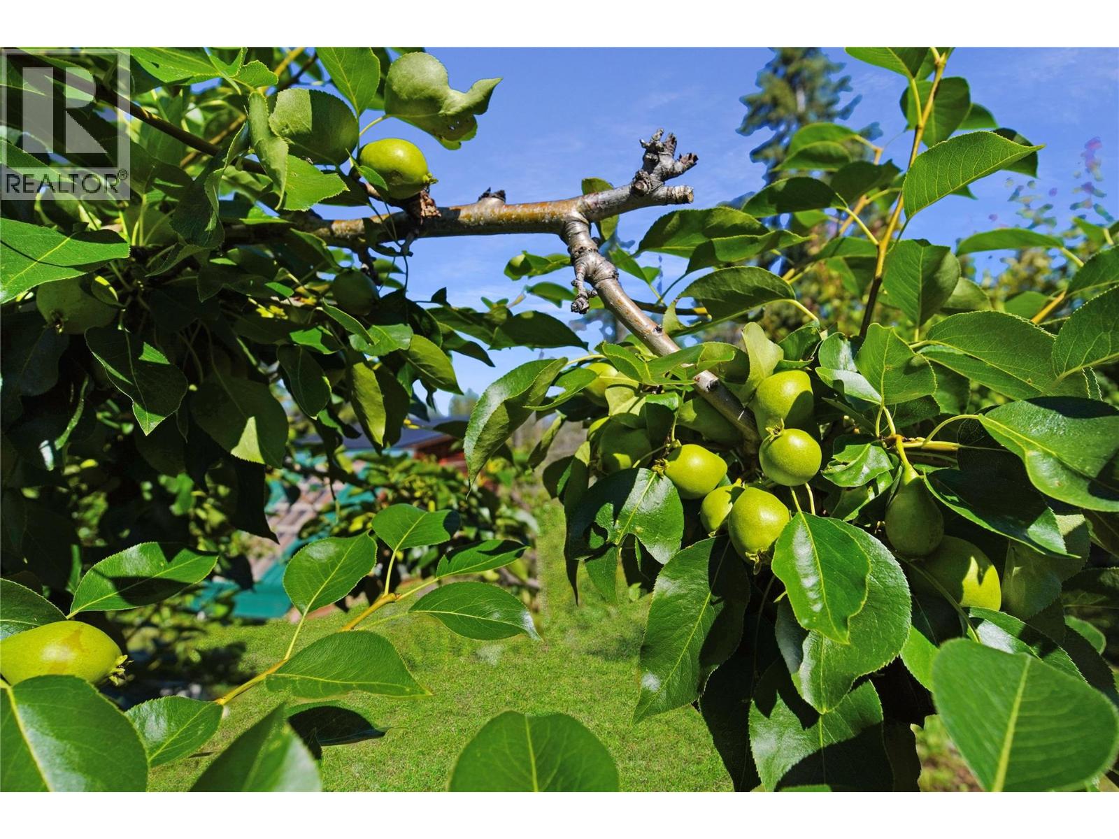 2600 Wycliffe Park Road, Cranbrook