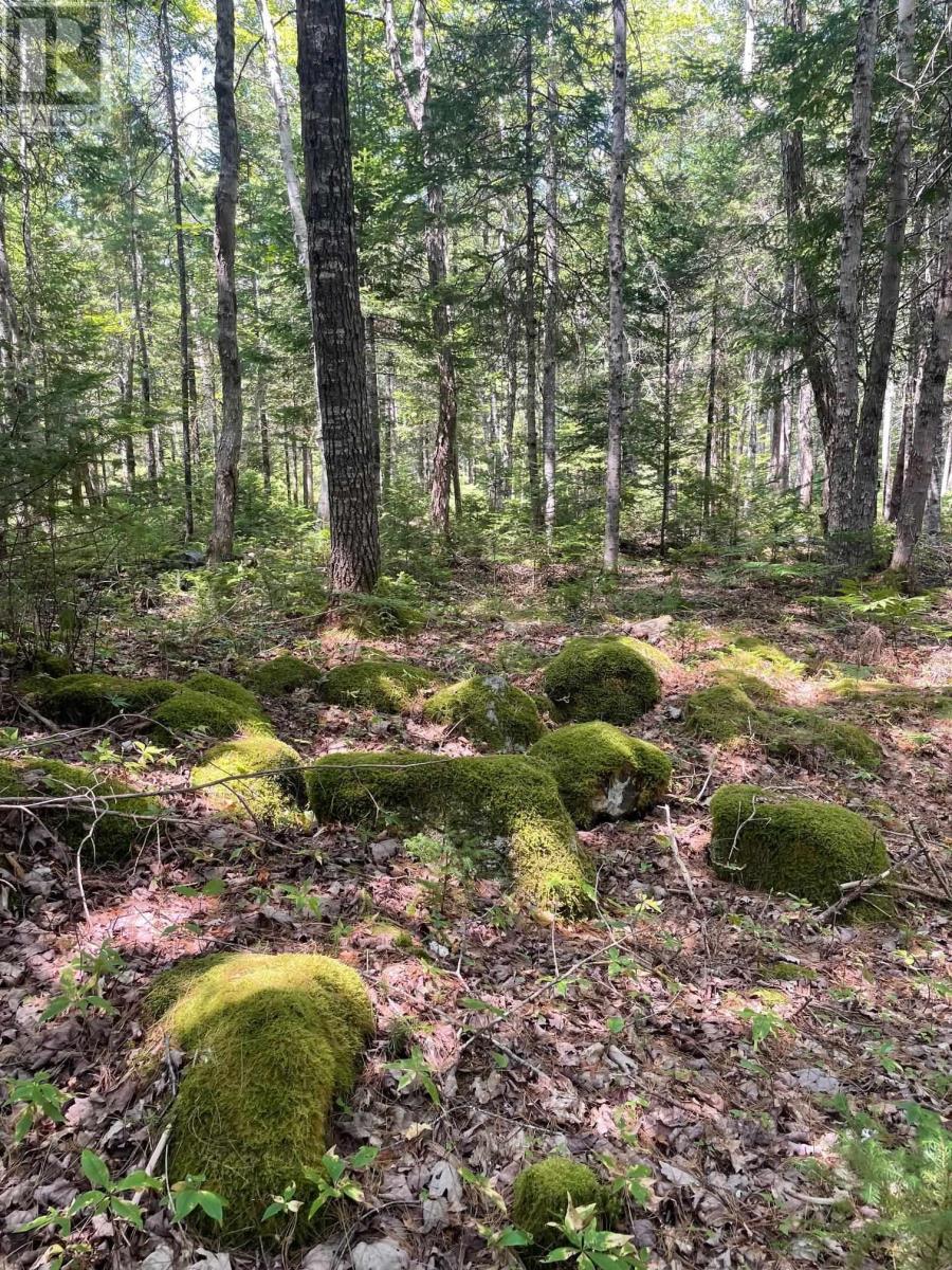 Property 34 of 43 of 960 Highway 208