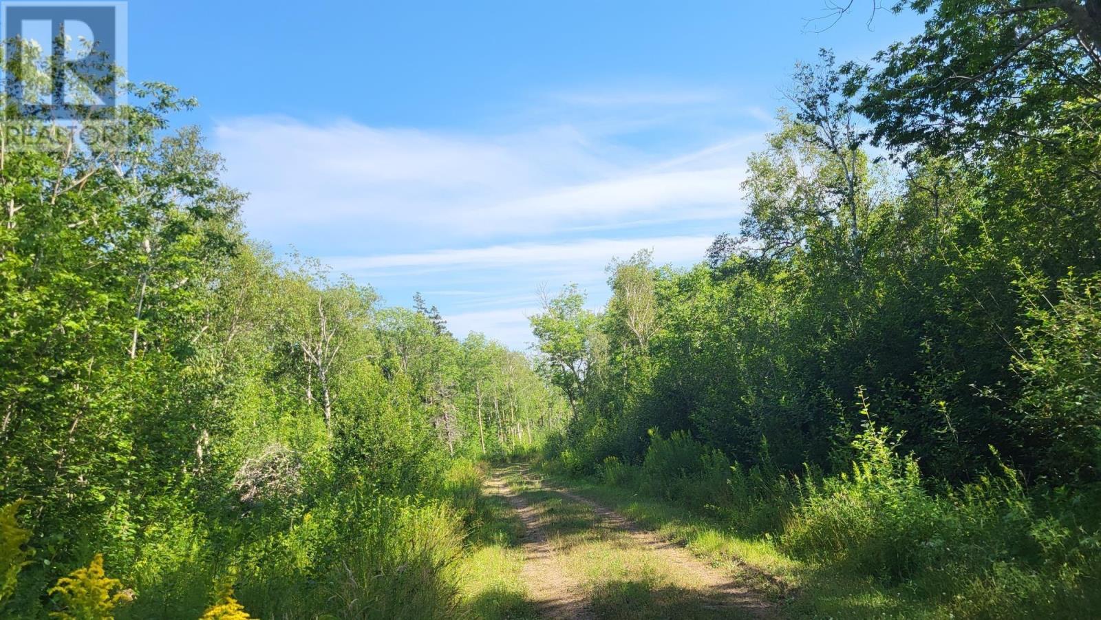 Property 4 of 20 of 2628 Granville Road