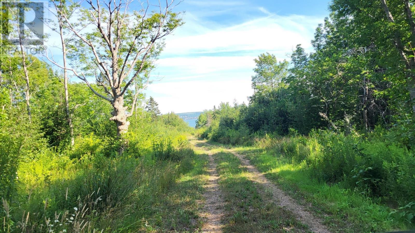 Property 7 of 20 of 2628 Granville Road