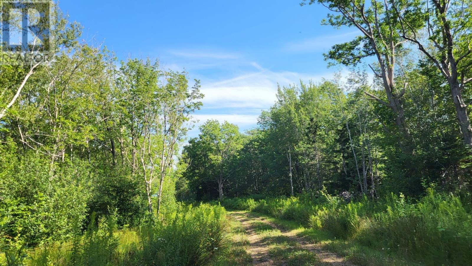 Property 5 of 20 of 2628 Granville Road