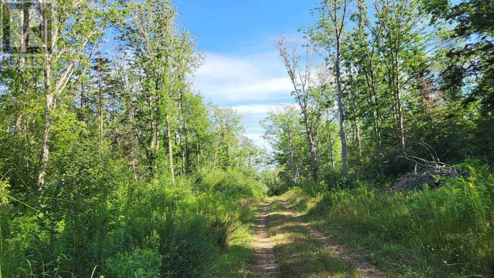 Property 3 of 20 of 2628 Granville Road