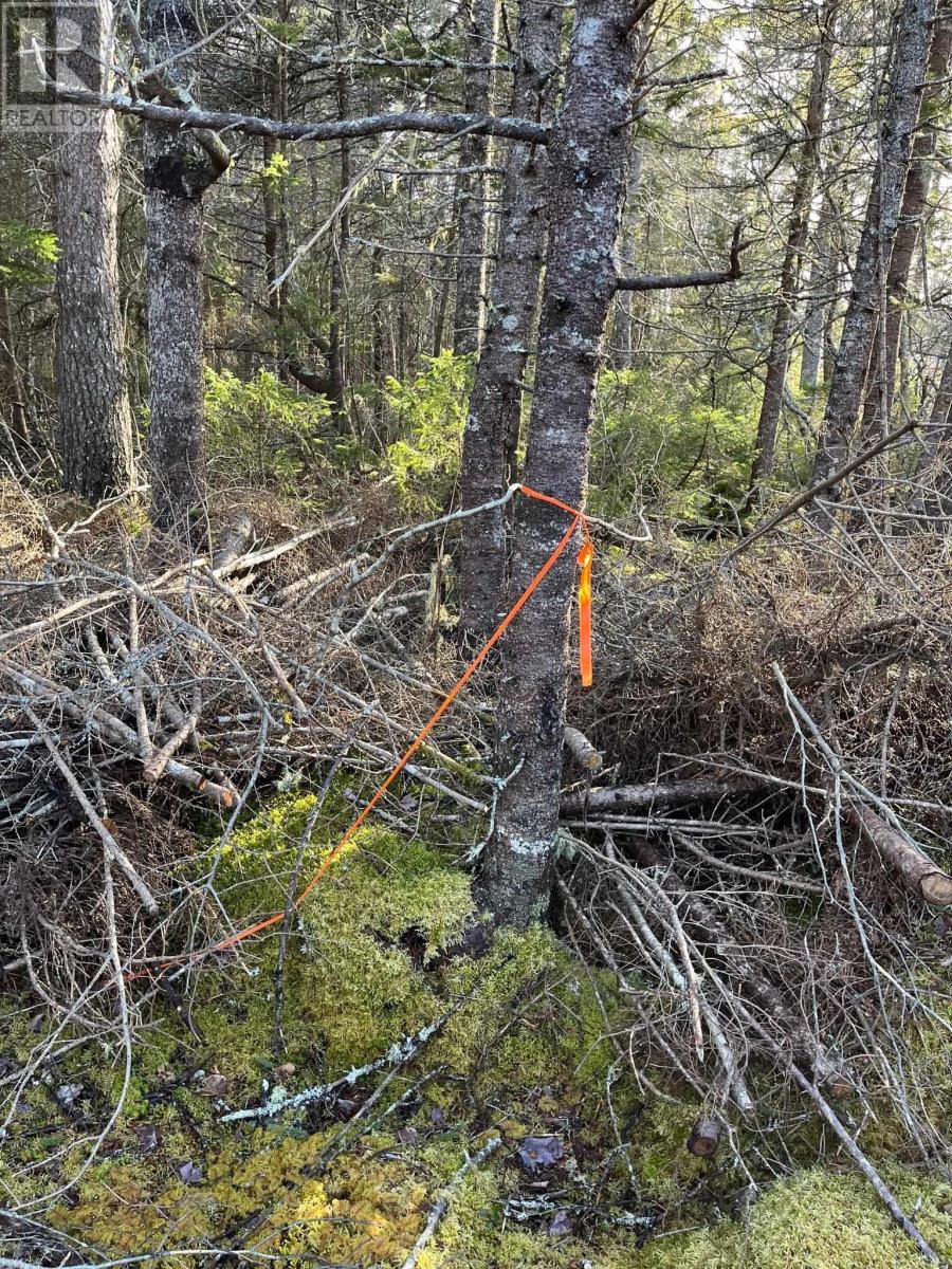 Property 8 of 12 of Lot Egypt Road