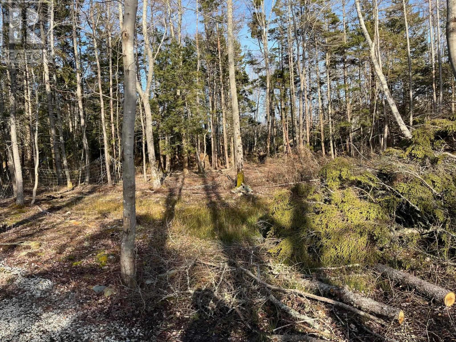 Property 5 of 12 of Lot Egypt Road