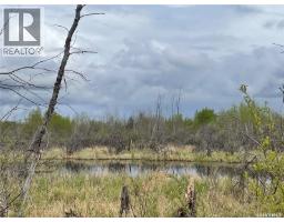 5.5km South Of Dorintosh Lot 3, Meadow Lake Rm No 588, SK S0M0T0 Photo 7
