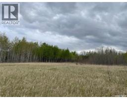 5.5km South Of Dorintosh Lot 2, Meadow Lake Rm No 588, SK S0M0T0 Photo 6