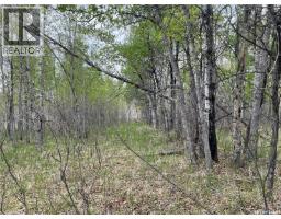 5.5km South Of Dorintosh Lot 2, Meadow Lake Rm No 588, SK S0M0T0 Photo 7