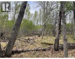 5.5km South Of Dorintosh Lot 2, Meadow Lake Rm No 588, SK S0M0T0 Photo 8